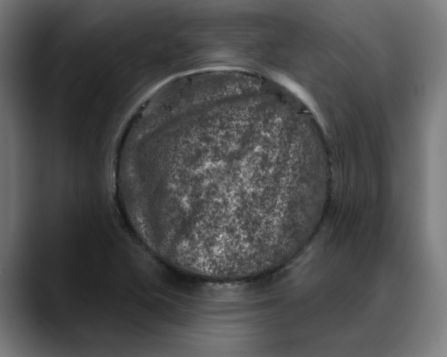 X0000089701415200707121346