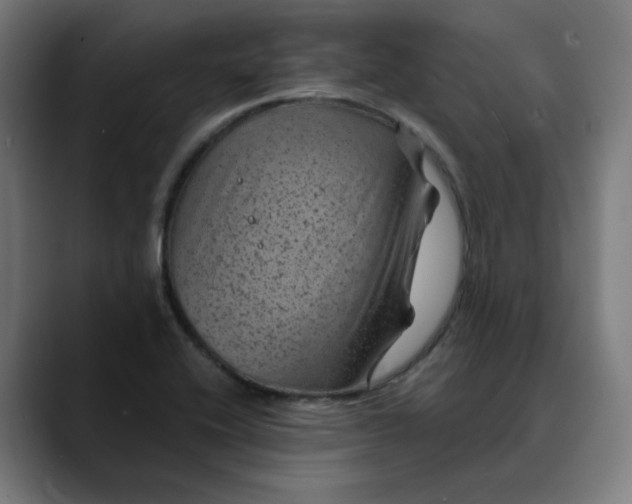 X0000089701416200707121346