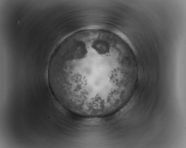 X0000089701417200707121346