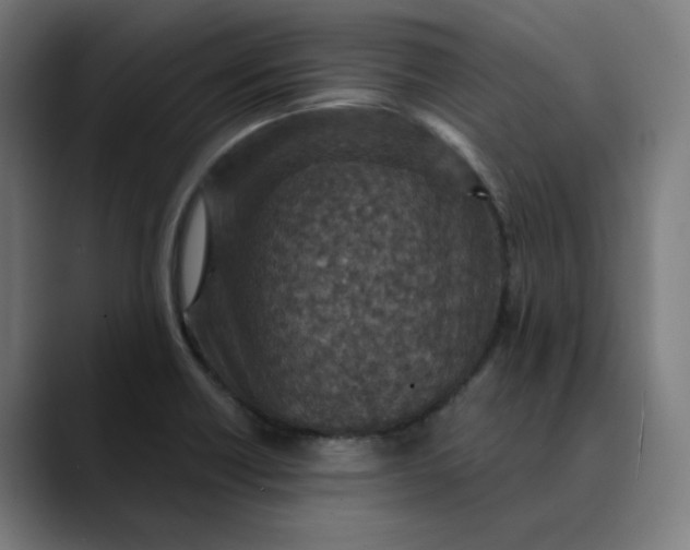 X0000089701418200707121346