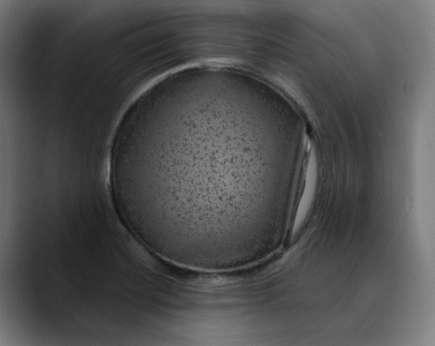 X0000089701420200707121346