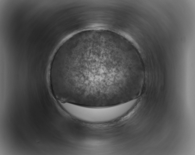 X0000089701421200707121346