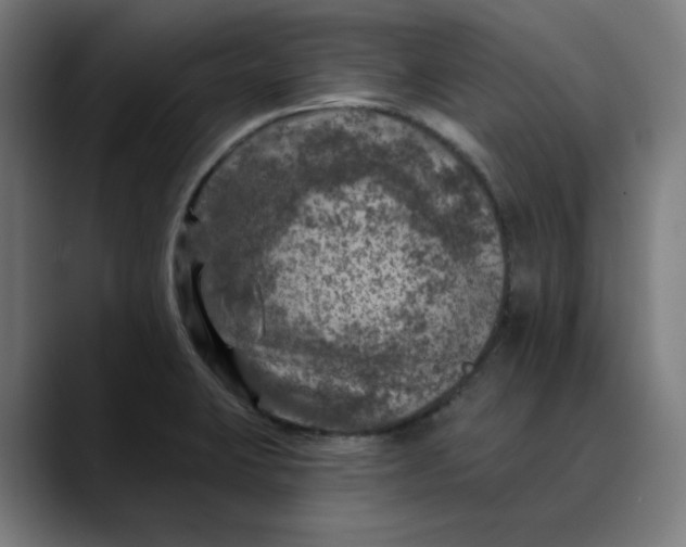 X0000089701423200707121346