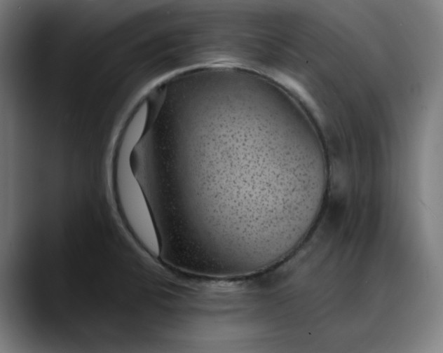 X0000089701424200707121346