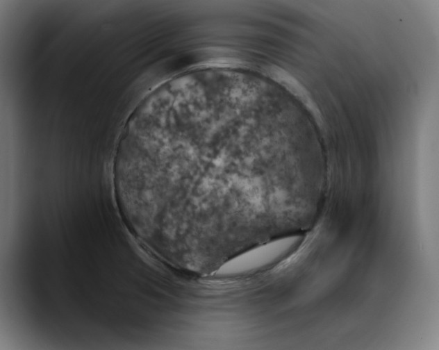 X0000089701425200707121346