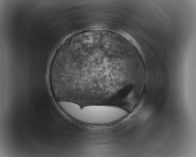 X0000089701429200707121346