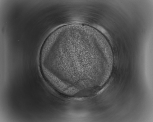 X0000089701431200707121346