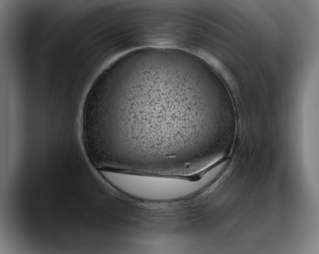 X0000089701432200707121346