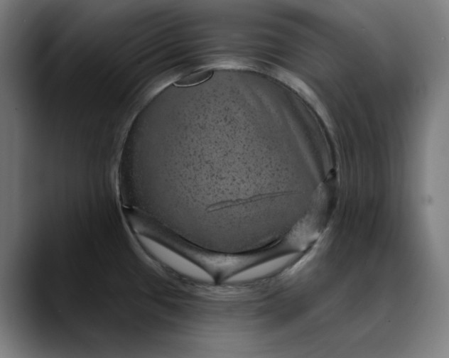 X0000089701433200707121346