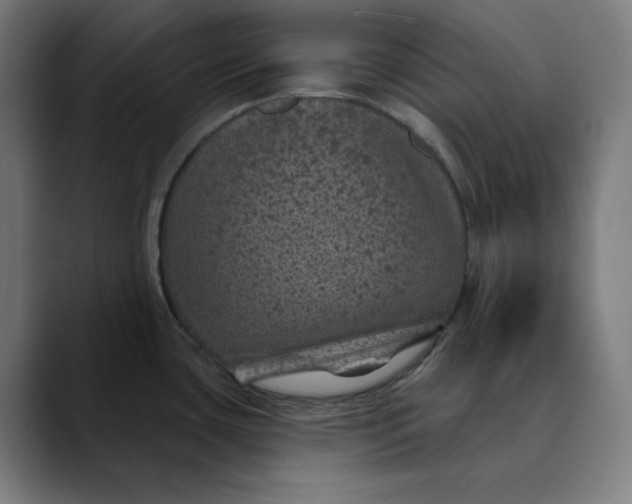 X0000089701435200707121346