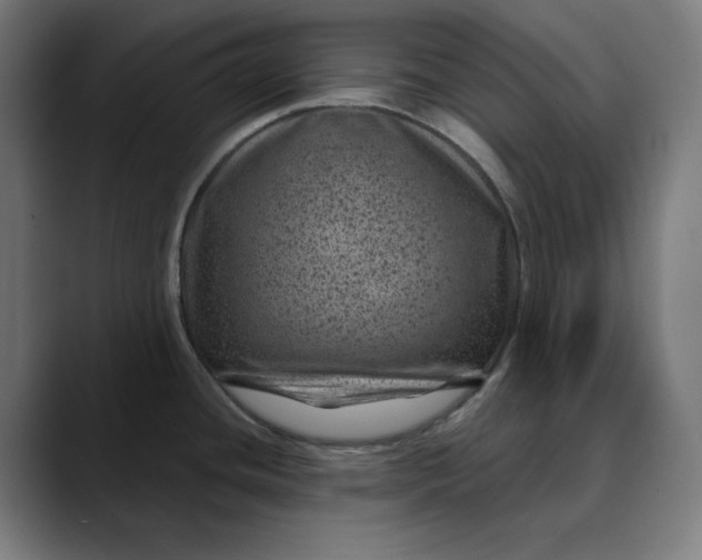 X0000089701436200707121346