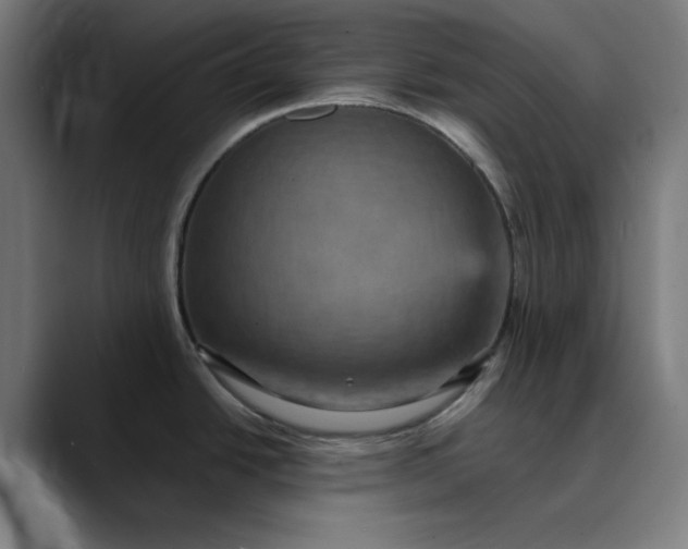 X0000089701438200707121346