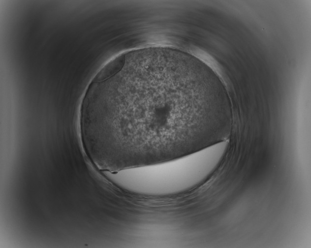 X0000089701439200707121346