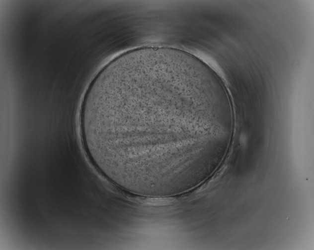 X0000089701440200707121346