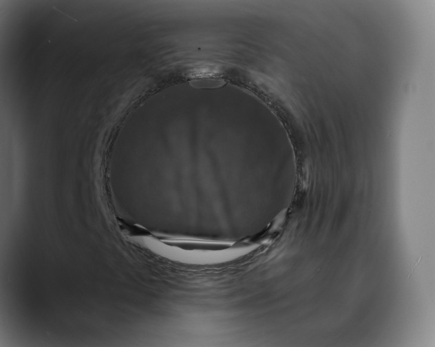 X0000089701441200707121345