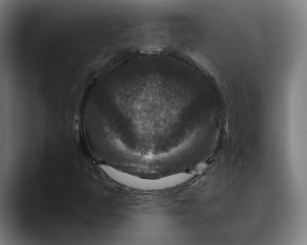 X0000089701445200707121345