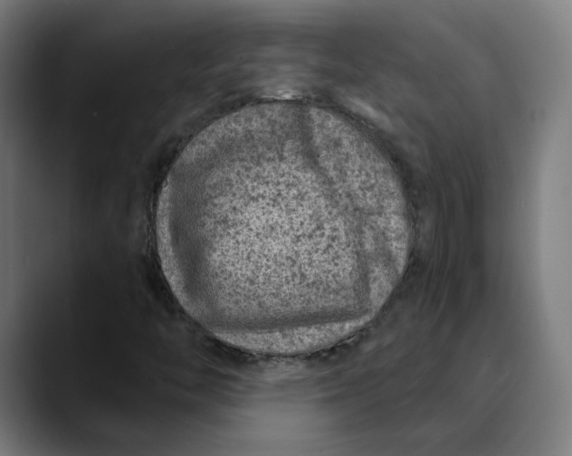 X0000089701446200707121345