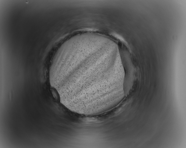 X0000089701448200707121345