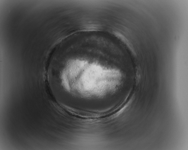 X0000089701449200707121345