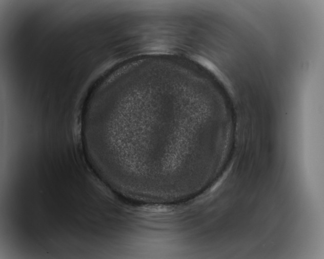 X0000089701450200707121345