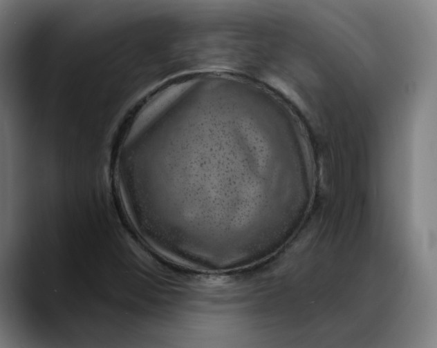 X0000089701452200707121345