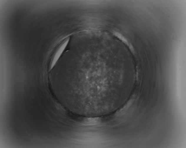 X0000089701453200707121345