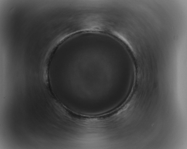 X0000089701455200707121345