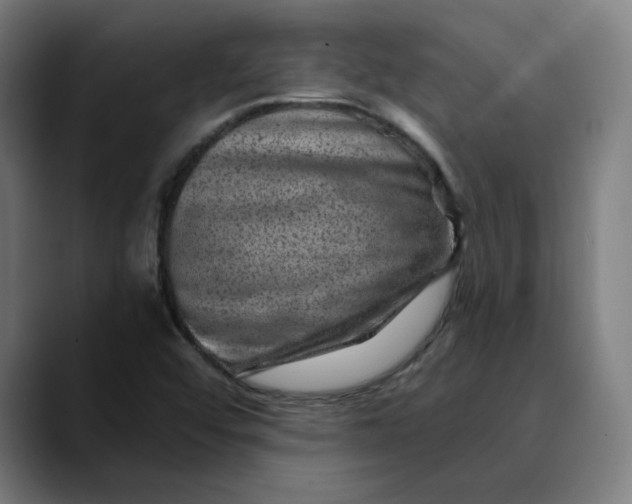 X0000089701456200707121345