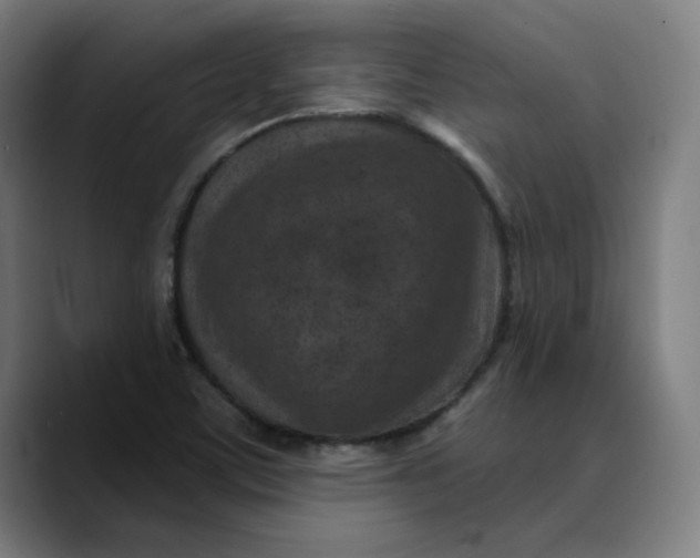 X0000089701459200707121345