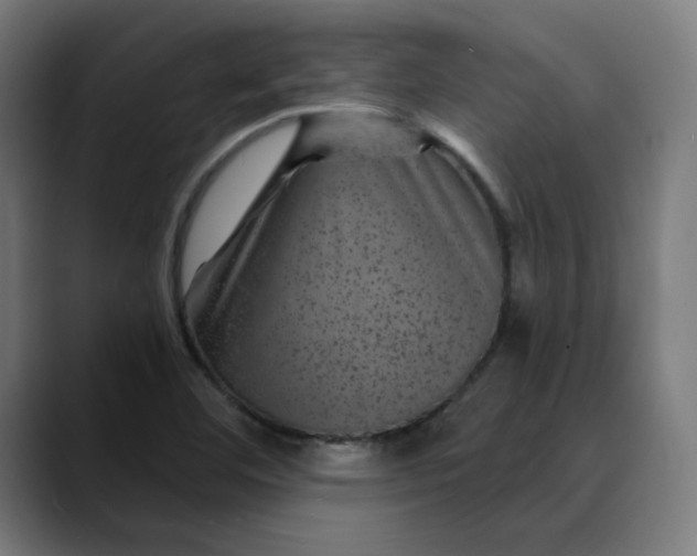 X0000089701460200707121345