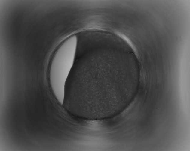 X0000089701461200707121345