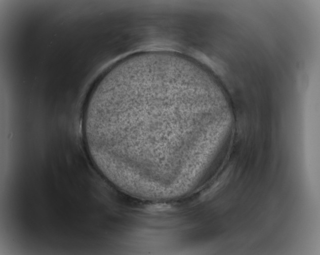 X0000089701462200707121345