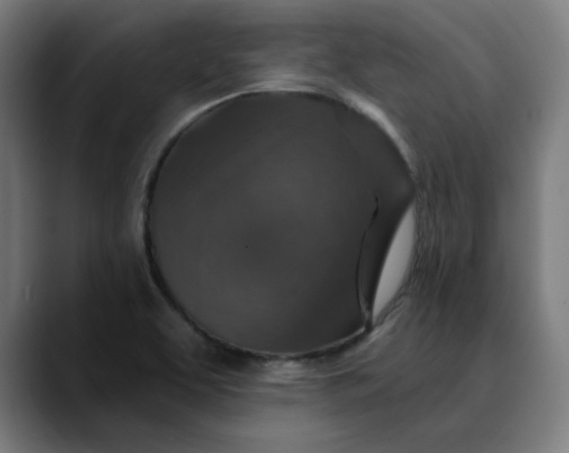 X0000089701463200707121345