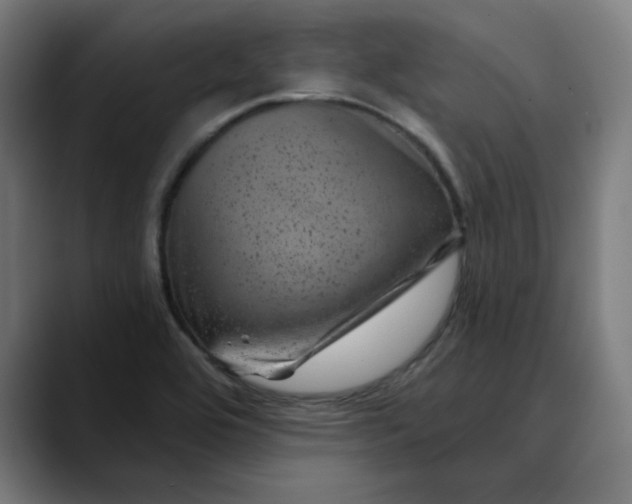 X0000089701464200707121345