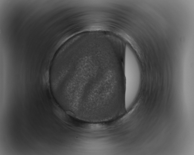 X0000089701465200707121345