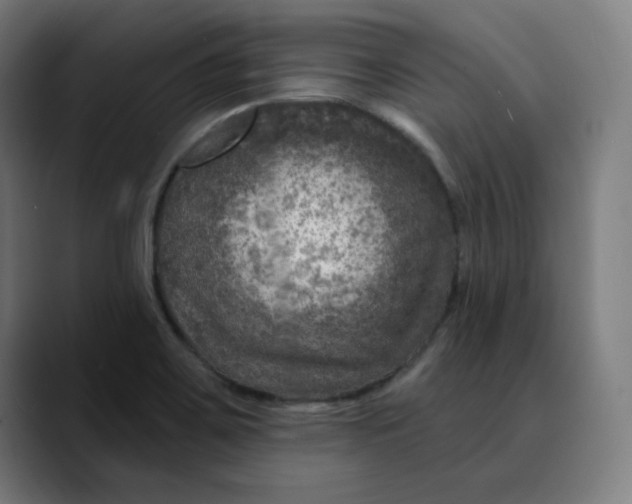 X0000089701467200707121345