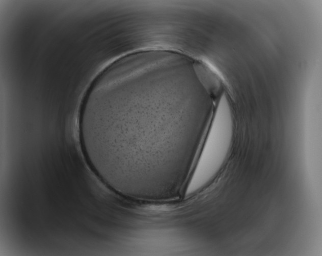 X0000089701468200707121345