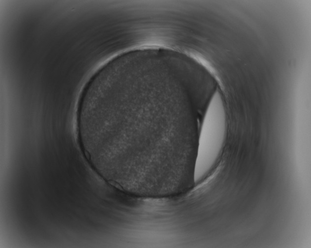 X0000089701469200707121345