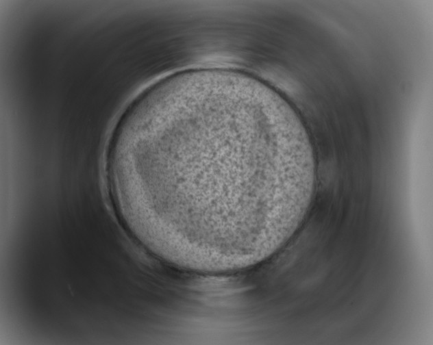 X0000089701470200707121345