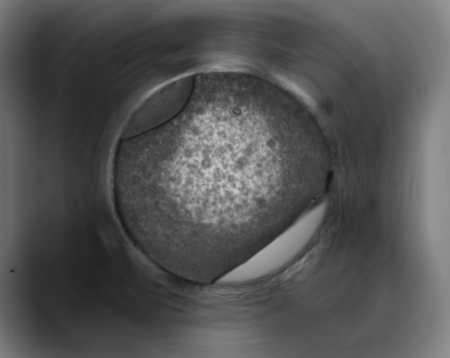 X0000089701471200707121345