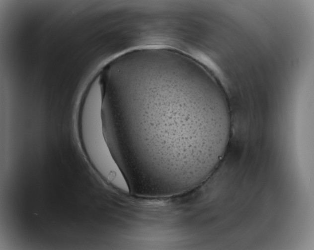 X0000089701472200707121345