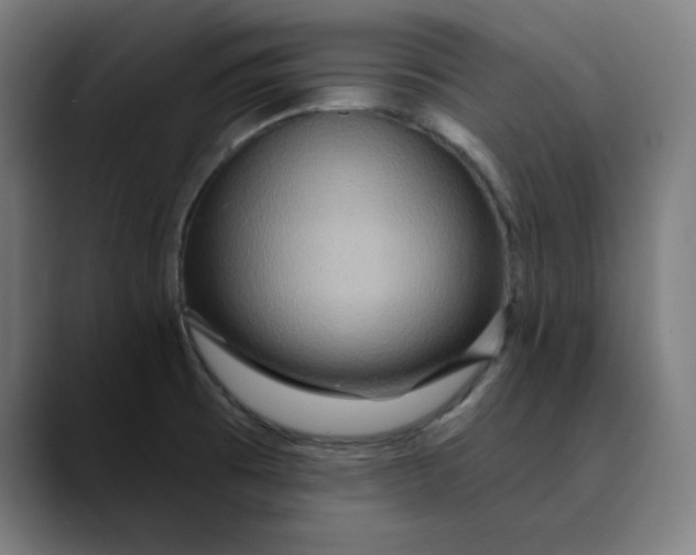 X0000089701473200707121345