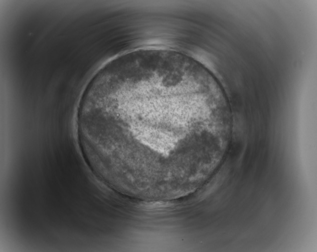 X0000089701474200707121345