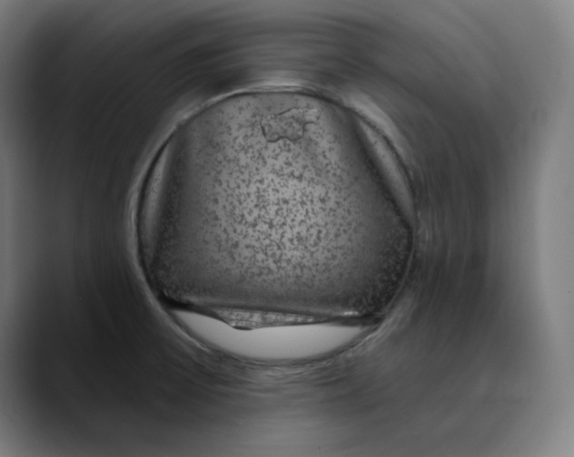 X0000089701475200707121345