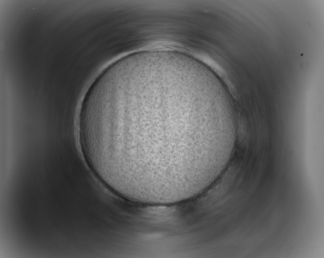 X0000089701478200707121345