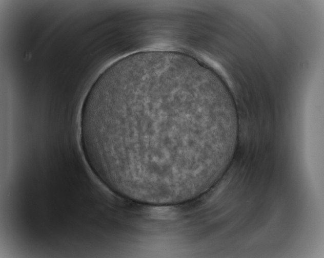 X0000089701479200707121345