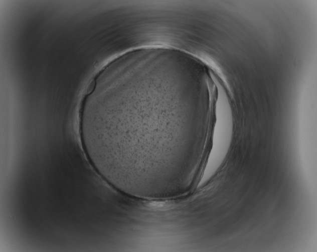 X0000089701480200707121345