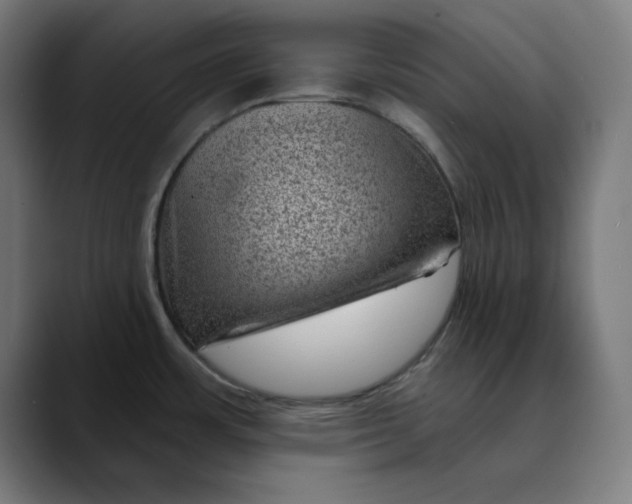 X0000089701483200707121345