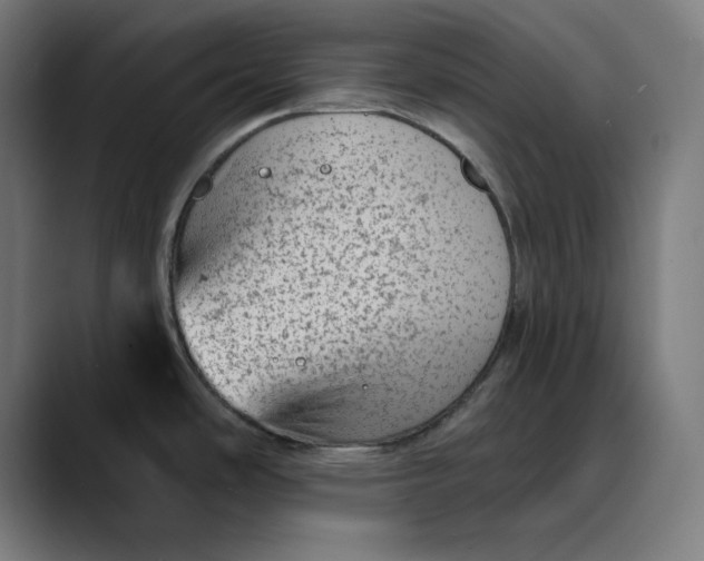 X0000089701486200707121345