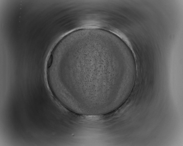 X0000089701488200707121345